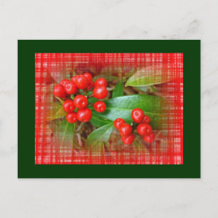 Honeysuckle Berries op katoenkatoen Briefkaart