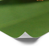 Honeysuckle Berries Poster (Hoek)