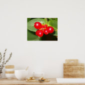 Honeysuckle Berries Poster (Keuken)