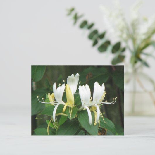 Honeysuckle Briefkaart (Staand voorkant)