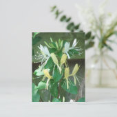 Honeysuckle Briefkaart (Staand voorkant)