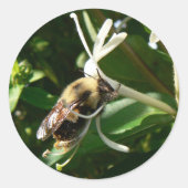 Honeysuckle Bumble Bee Ronde Sticker (Voorkant)