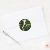 Honeysuckle Bumble Bee Ronde Sticker (Envelop)