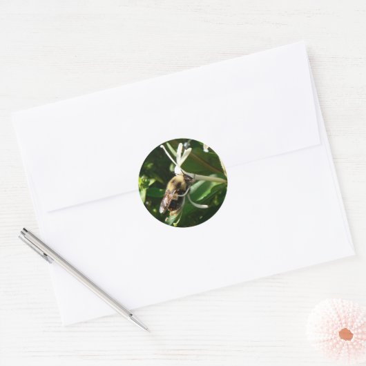 Honeysuckle Bumble Bee Ronde Sticker (Envelop)
