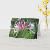 Honeysuckle Flower Kaart (Gele Bloem)