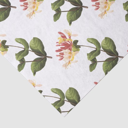 Honeysuckle Flower Pattern Tissuepapier (Detail)