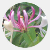 Honeysuckle Flower Sticker (Voorkant)