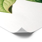 Honeysuckle Flowers Art Print Poster (Hoek)