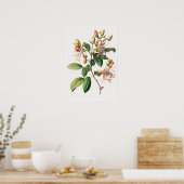 Honeysuckle Flowers Art Print Poster (Keuken)