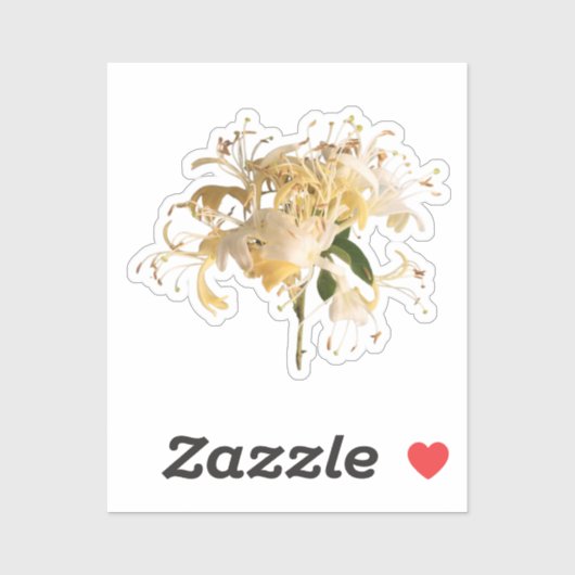 Honeysuckle Flowers \ June Birth flower Sticker (Vel)