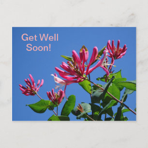 Honeysuckle -Get Well Soon-Briefkaart Briefkaart