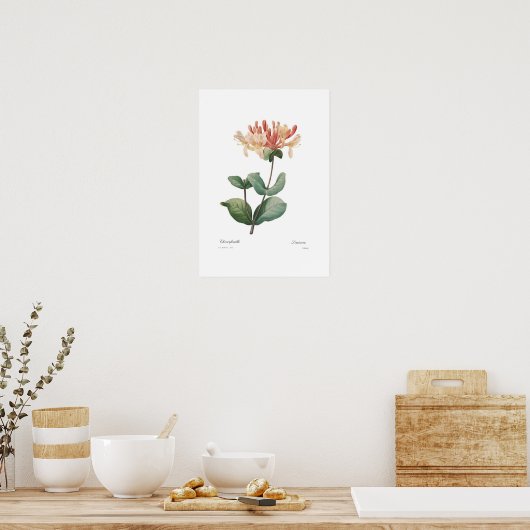 Honeysuckle Poster (Keuken)
