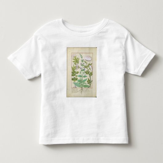Honeysuckle, Sage en Roos Kinder Shirts (Voorkant)