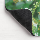 Honeysuckle Sweet Muismat (Hoek)