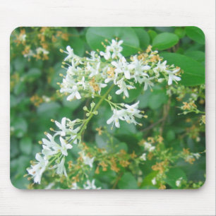 Honeysuckle Sweet Muismat