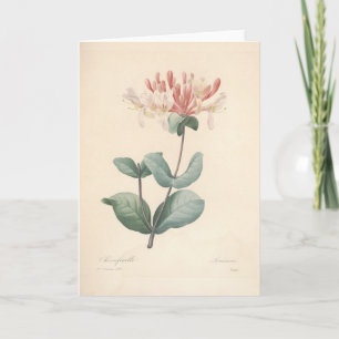 Honeysuckle van Redoute Botanical Sympathcard Bedankkaart