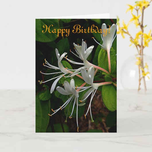 Honeysuckle Verjaardag Kaart (Gele Bloem)