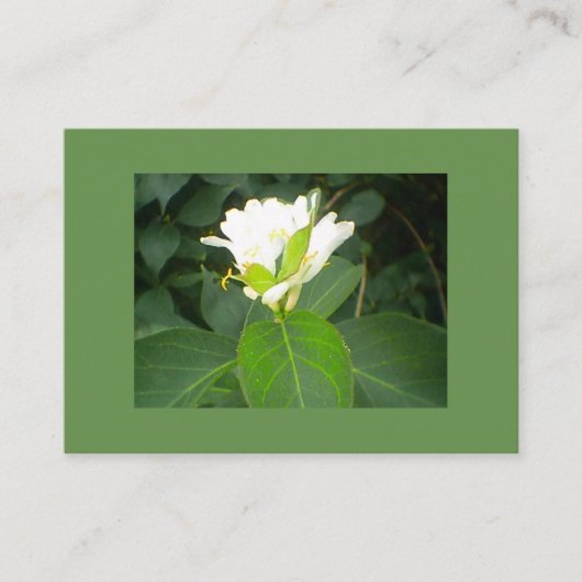 Honeysuckle Visitekaartje (Voorkant)