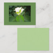 Honeysuckle Visitekaartje (Voorkant / Achterkant)