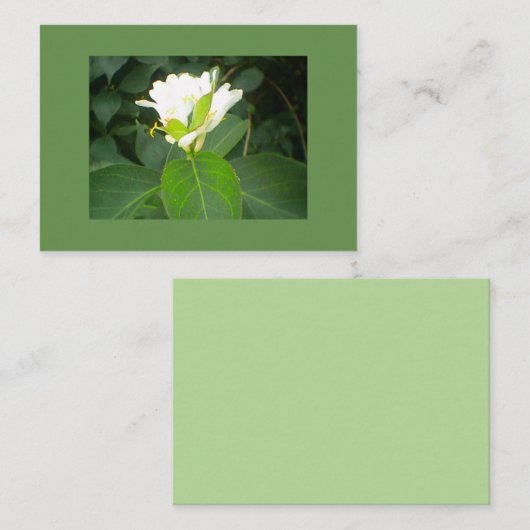 Honeysuckle Visitekaartje (Voorkant / Achterkant)