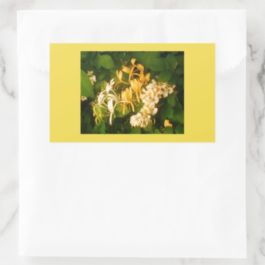 Honeysuckle Wild Roos Spring Rechthoekige Sticker (Tas)