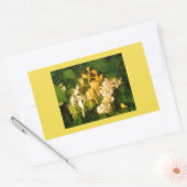 Honeysuckle Wild Roos Spring Rechthoekige Sticker (Envelop)