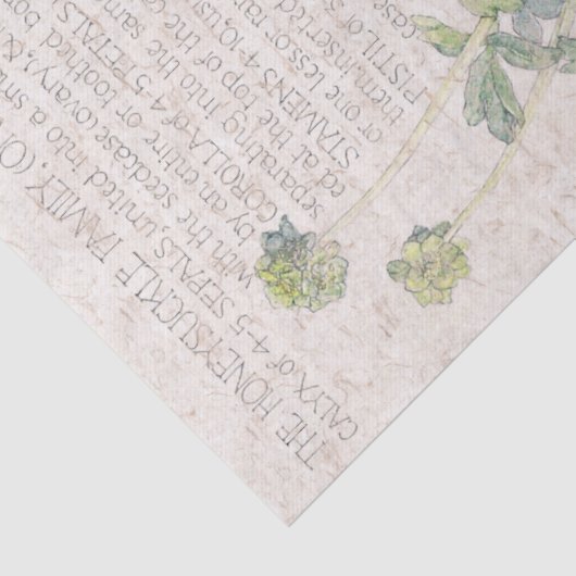 Honeysuckle Wildflower Flowers-weefselpapier Tissuepapier (Detail)