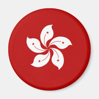 Hong Kong Hoge kwaliteit vlag Magneet