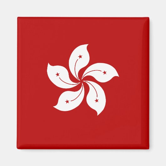 Hong Kong Hoge kwaliteit vlag Magneet (Voorkant)