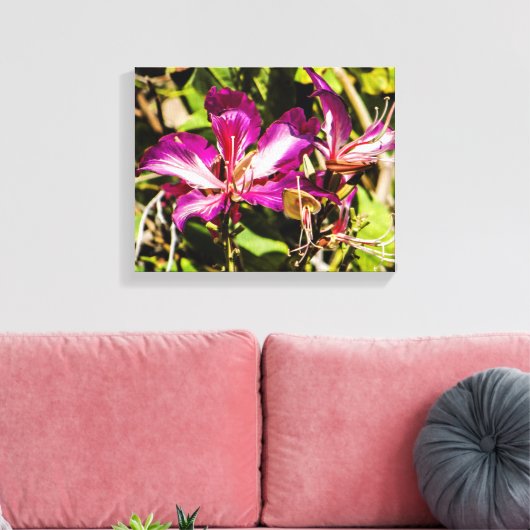 Hong Kong Orchid Tree Canvas (Insitu (Woonkamer))