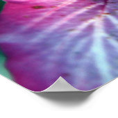 Hong Kong Orchid Tree Poster (Hoek)