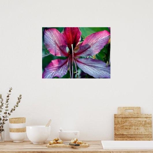 Hong Kong Orchid Tree Poster (Keuken)