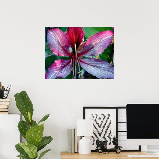 Hong Kong Orchid Tree Poster (Thuiskantoor)