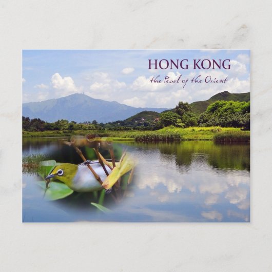Hong Kong Wetlands Park Travel Post Kaart (Voorkant)