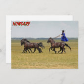 Hongaar ruiter en paarden Wenskaart (Voorkant / Achterkant)