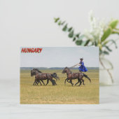 Hongaar ruiter en paarden Wenskaart (Staand voorkant)