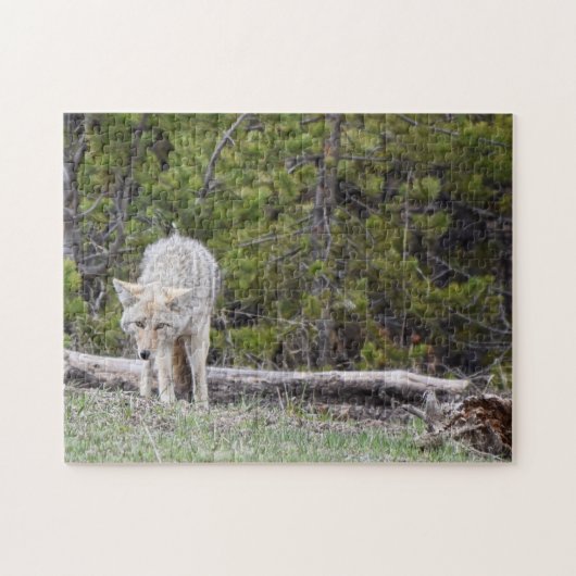 Hongaars als een Wolf - Yellowstone - 11x14 - 252  Legpuzzel (Horizontaal)