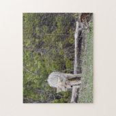 Hongaars als een Wolf - Yellowstone - 11x14 - 252  Legpuzzel (Verticaal)