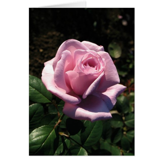 Hongaars-Boldog születésnapot (Voorkant)