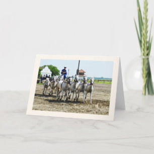 Hongaars paard kaart