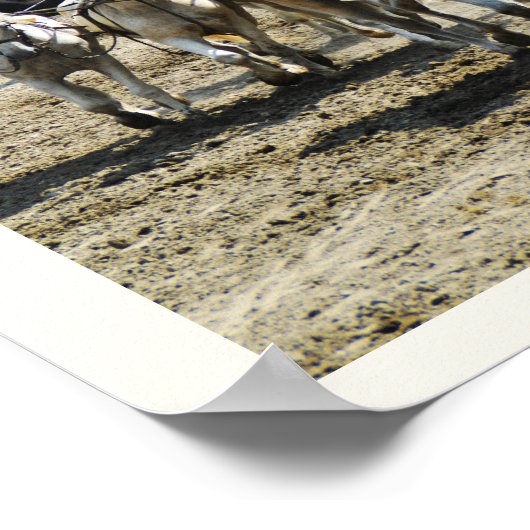 Hongaars paard poster (Hoek)
