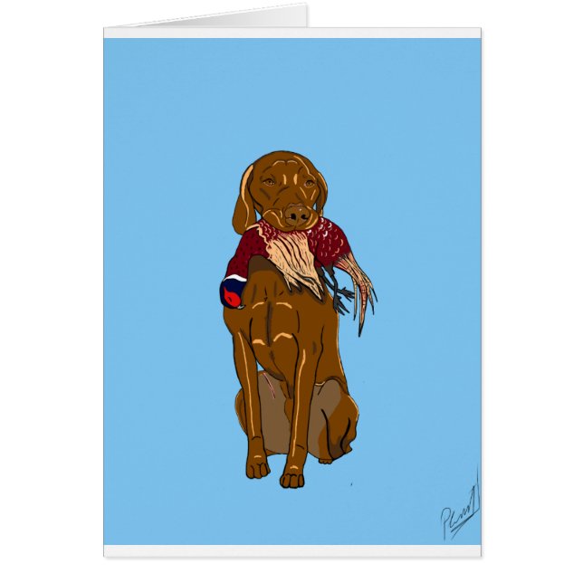 Hongaars Vizsla (Voorkant)