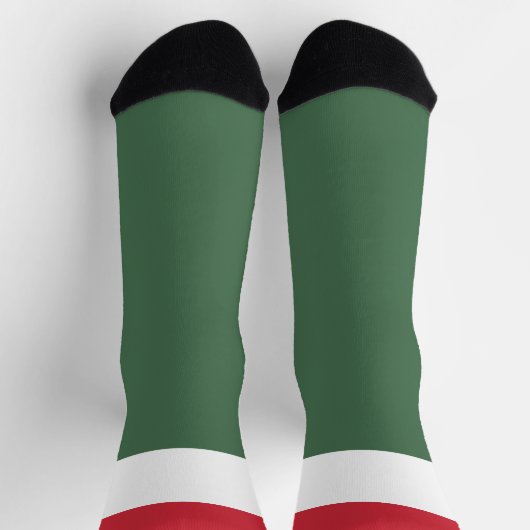 Hongaars vlagpatriottisch Hongaars nationaal priva Sokken (Top)