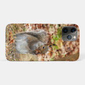 Hongaarse eekhoorn Case-Mate iPhone case (Achterkant (horizontaal))