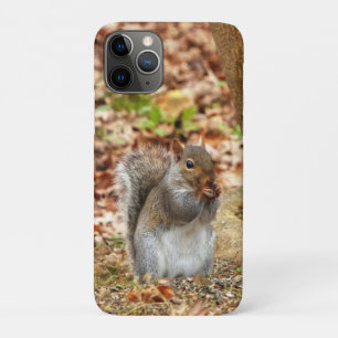 Hongaarse eekhoorn Case-Mate iPhone case