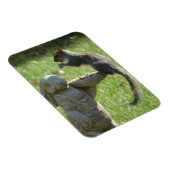 Hongaarse eekhoorn en Bunny Statue Magnet Magneet (Rechterzijde)