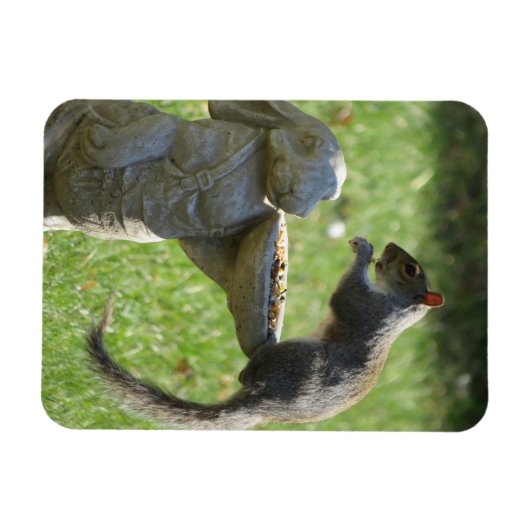 Hongaarse eekhoorn en Bunny Statue Magnet Magneet (Horizontaal)