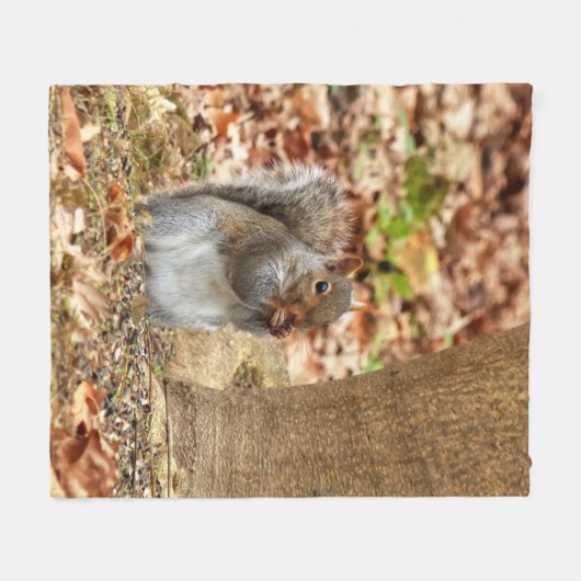 Hongaarse eekhoorn fleece deken (Voorkant (Horizontaal))