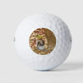 Hongaarse eekhoorn golfballen (Voorkant)