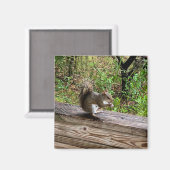 Hongaarse eekhoorn magneet (Voorkant / Achterkant)